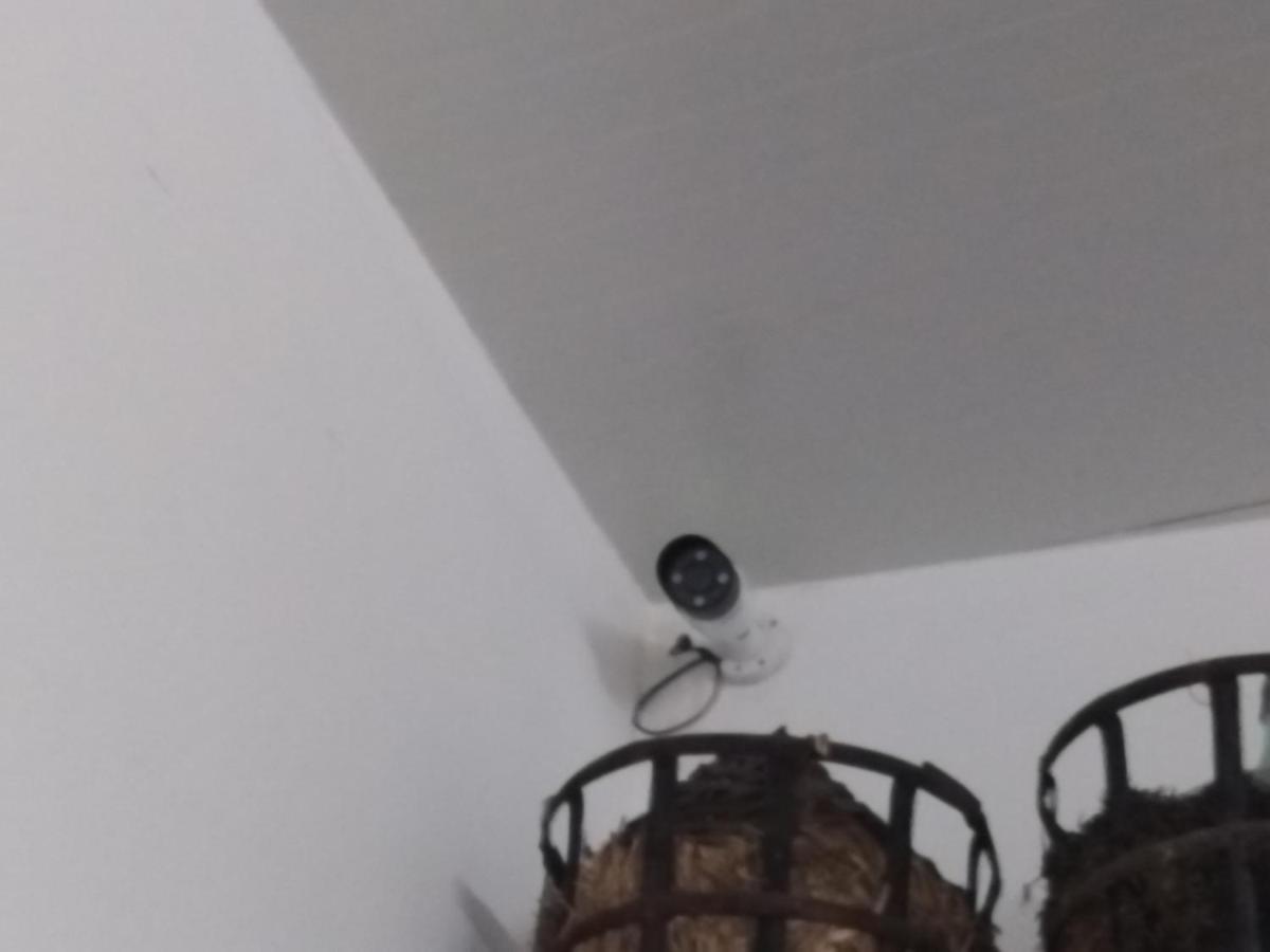 Corvos E Cadavais Villa Almodovar Bagian luar foto